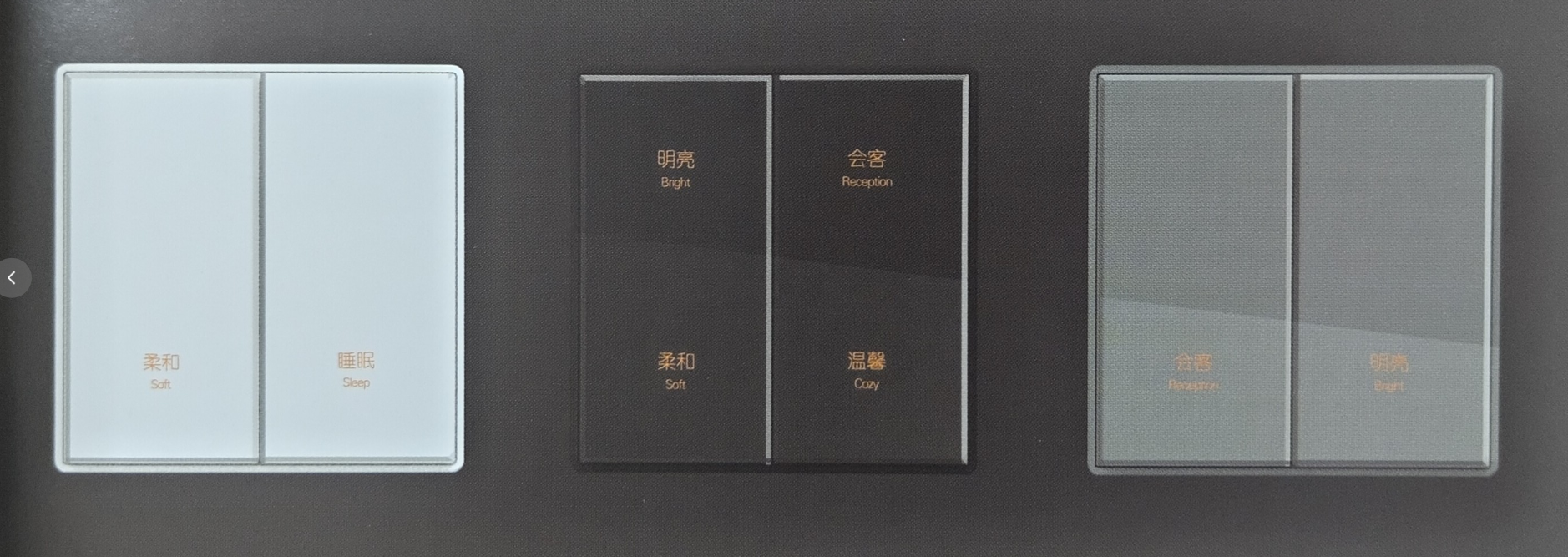 雙鍵情境控制面板